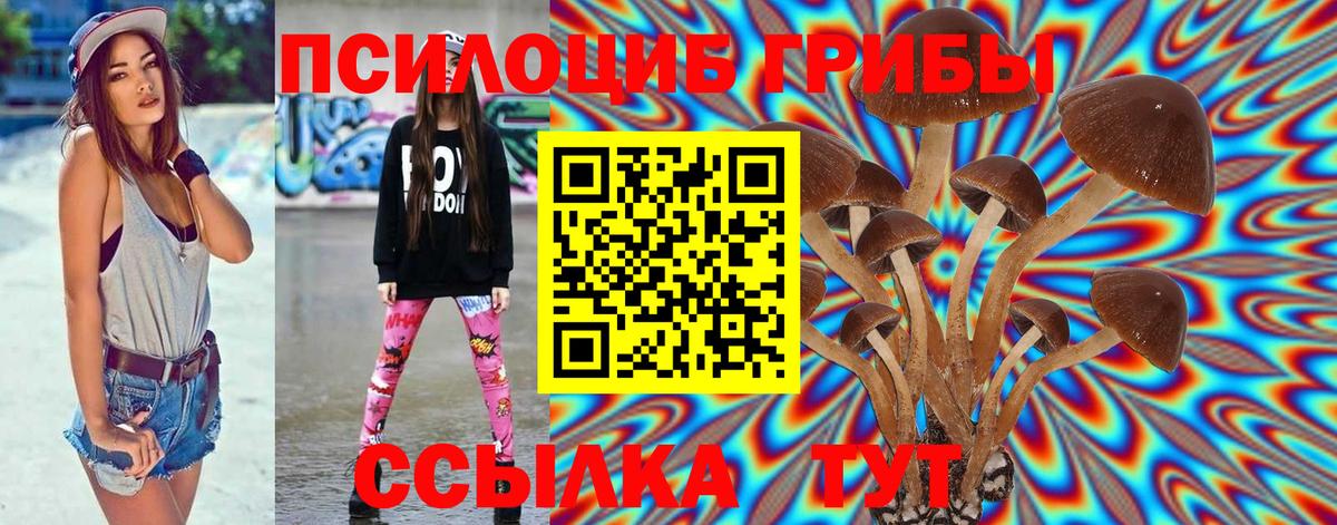 закладки  Псилоцибиновые грибы прущие грибы  Вход с VPN  Каспийск 